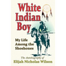 White Indian Boy: My Life Among the Shoshones