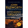 Defending Turquoise: A Page-Turning Legal Thriller