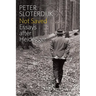 Not Saved: Essays After Heidegger