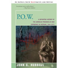 P.O.W.: A Definitive History of the American Prisoner-Of-War Experience in Vietnam, 1964-1973