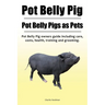 Pot Belly Pig. Pot Belly Pigs as Pets. Pot Belly Pig owners guide including care, costs, health, training and grooming.