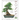 The Complete Book of Bonsai: A Practical Guide to Its Art and Cultivation