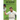 Kane Williamson: New Zealand Cricketer