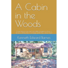 A Cabin in the Woods: A true story of one man's incredible struggle to follow a dream, a dream that is seemingly guided by a divine hand