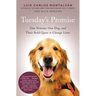 Tuesday's Promise