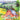 Subitizing on the Farm: Essential Math Skills for Early Learners