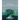 The World of Ficus Bonsai