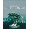 The World of Ficus Bonsai