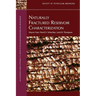 Naturally Fractured Reservoir Characterization