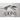 Loons: Treasured Symbols of the North