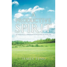 A Productive Spirit: An Analytical Approach to Investing in Your Life
