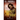 Horrificata Book 1: School's Dead Boring