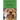 Jordan: My Grand Dog