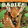 Smoky Mountain Babies!