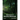 Advances in Forestry Research: Volume I
