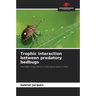 Trophic interaction between predatory bedbugs