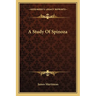 A Study Of Spinoza