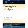 Neuroglia in C. elegans