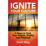 Ignite Your Culture: 6 Steps to Fuel Your People, Profits and Potential