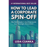 How to Lead a Corporate Spin-Off: The Tech Leader's Survival Guide to a Strategic Divestiture