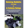 Raising Rabbits For Meat In A Colony Setup: Sustainable And Efficient Meat Production Through Rabbit Colony Farming