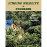 Finding Wildlife In Colorado: Birds, Mammals and Reptiles