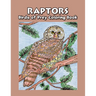 Raptors - Birds of Prey Coloring Book