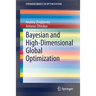 Bayesian and High-Dimensional Global Optimization