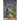 Picture Book of Colorful Birds: For Seniors with Dementia (Large Text) [Best Gifts for People with Dementia]