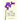 The Nectar of Pain