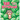 100 Watermelons