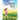 The Dandelion Horn