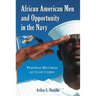 African American Men and Opportunity in the Navy: Personal Histories of Eight Chiefs
