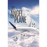 My Angel on the Plane