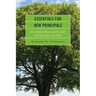 Essentials for New Principals: Seven Steps to Becoming Successful, Key Expectations and Skills