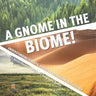 A Gnome in the Biome!: Understanding Forests, Deserts & Grassland Ecosystems Grade 5 Social Studies Children's Geography Books