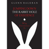 Jumping Down The Rabbit Hole Of Existence: Why Existence is