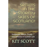 Spirits in the Stormy Skies of Scotland!: Goddesses, Ghosts, Druids and Darkness in Scottish Lore