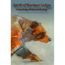 Spirit of the Bear Lodge: An Anthology of Bearlodge Writers