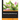 Mastering Backbone.js
