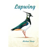 Lapwing