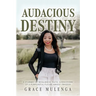 Audacious Destiny: A journey of resilience, faith, and discovery of a purposeful future amidst tragedy