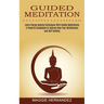 Guided Meditation: Learn Energy Healing Techniques With Guided Meditations (A Powerful Guidebook to Improve Now Your Mindfulness and Self-healing)