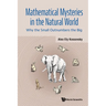 Mathematical Mysteries in the Natural World