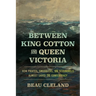 Between King Cotton and Queen Victoria: How Pirates, Smugglers, and Scoundrels Almost Saved the Confederacy