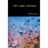 The Light Changes