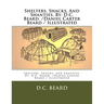 Shelters, Shacks, And Shanties. By: D.C. Beard. /Daniel Carter Beard / Illustrated