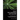 Fuzzy Plant Modeling with OpenGL- Novel Approaches in Simulating Phototropism and Environmental Conditions