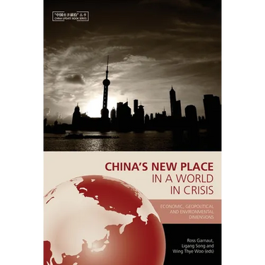 China's New Place in a World in Crisis: Economic, Geopolitical and Environmental Dimensions - Paperback