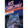 Ace Carroway and the Handsome Devil